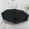 Screenshot 2025-10-30 at 14.08.33 Floral Compact Automatic Folding Travel Umbrella